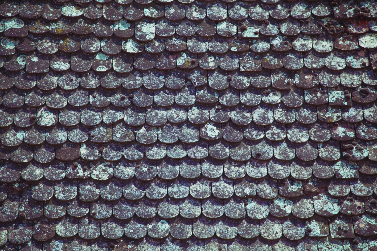 Toiture en tuiles d'une maison ancienne